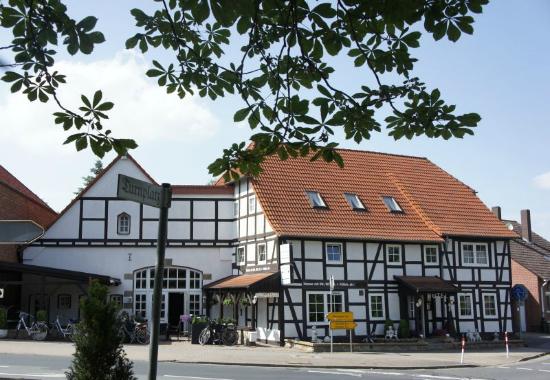 info@hotel-gerlach.de